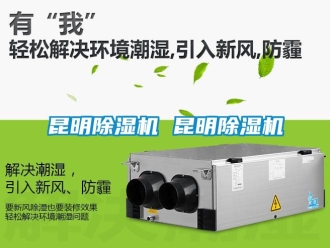 行业资讯昆明除湿机 昆明除湿机