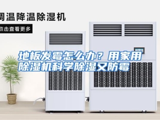 常见问题地板发霉怎么办？用家用除湿机科学除湿又防霉