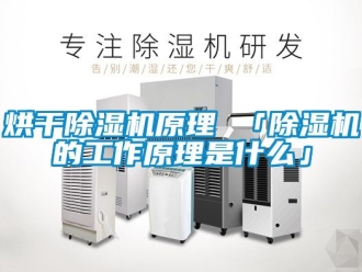 行业资讯烘干除湿机原理 「除湿机的工作原理是什么」