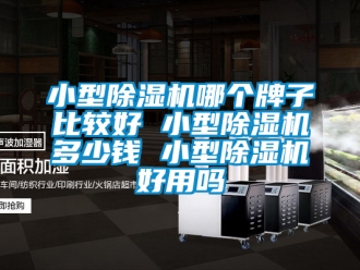 行业资讯小型除湿机哪个牌子比较好 小型除湿机多少钱 小型除湿机好用吗