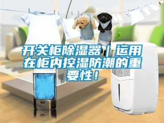 行业资讯开关柜除湿器｜运用在柜内控湿防潮的重要性！