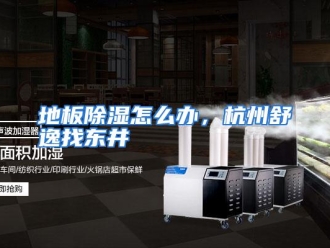 常见问题地板除湿怎么办，杭州舒逸找东井