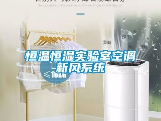 知识百科恒温恒湿实验室空调新风系统