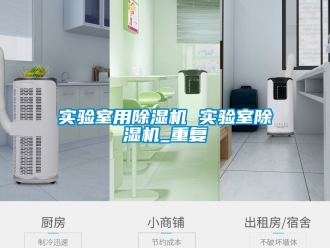 行业资讯实验室用除湿机 实验室除湿机_重复