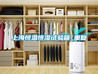 知识百科上海恒温恒湿试验箱_重复