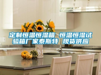 知识百科定制恒温恒湿箱 恒温恒湿试验箱厂家泰斯特 现货供应