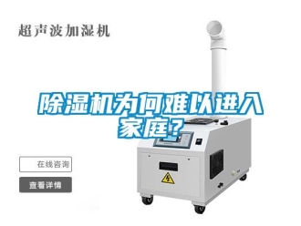 常见问题除湿机为何难以进入家庭？