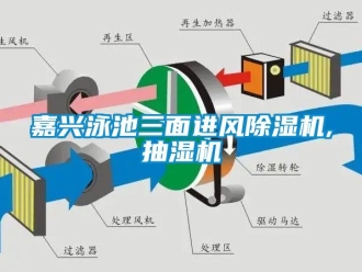 行业资讯嘉兴泳池三面进风除湿机,抽湿机