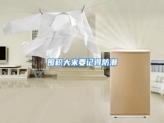 行业资讯囤积大米要记得防潮