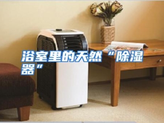 常见问题浴室里的天然“除湿器”