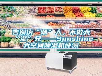 行业资讯告别伪“潮”人，不做大“湿”兄——Sunshine大空间除湿机评测