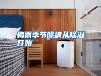 行业资讯梅雨季节除螨从除湿开始