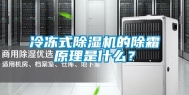 冷冻式除湿机的除霜原理是什么？