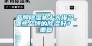 品牌除湿机十大排名，哪些品牌的除湿好？_重复