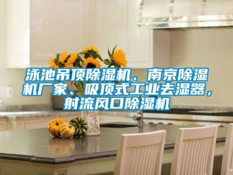 企业动态泳池吊顶除湿机、南京除湿机厂家、吸顶式工业去湿器，射流风口除湿机