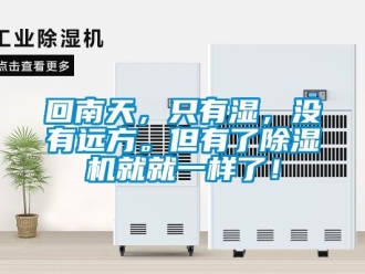 行业资讯回南天，只有湿，没有远方。但有了除湿机就就一样了！