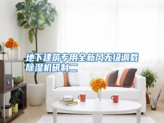 知识百科地下建筑专用全新风无级调载除湿机研制二