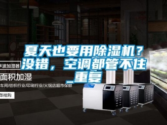 行业资讯夏天也要用除湿机？没错，空调都管不住_重复