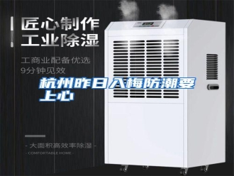 知识百科杭州昨日入梅防潮要上心