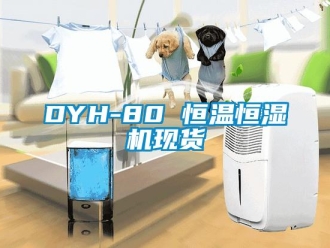 常见问题DYH-80 恒温恒湿机现货