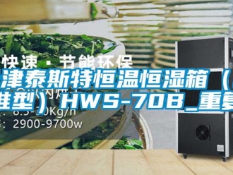 知识百科天津泰斯特恒温恒湿箱（标准型）HWS-70B_重复