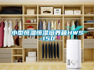 知识百科小型恒温恒湿培养箱HWS-150