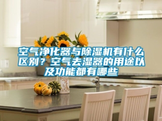 行业资讯空气净化器与除湿机有什么区别？空气去湿器的用途以及功能都有哪些