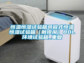 知识百科恒温恒湿试验箱可程式恒温恒湿试验箱（触摸屏）80L环境试验箱_重复