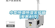 小型恒温恒湿实验箱 (爱佩科技)