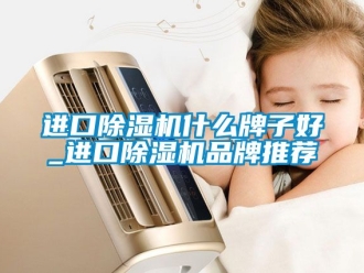 企业动态进口除湿机什么牌子好_进口除湿机品牌推荐