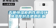 吉他恒湿柜的作用及环境湿度对吉他的影响