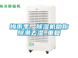 行业资讯梅雨季，除湿机助你除潮去湿_重复