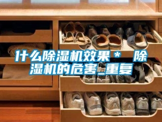行业资讯什么除湿机效果＊ 除湿机的危害_重复