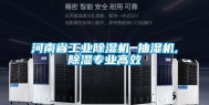 河南省工业除湿机 抽湿机,除湿专业高效