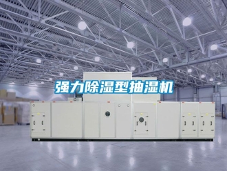 行业资讯强力除湿型抽湿机