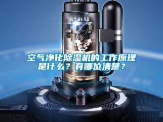 行业资讯空气净化除湿机的工作原理是什么？有哪位清楚？