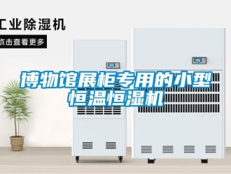 知识百科博物馆展柜专用的小型恒温恒湿机