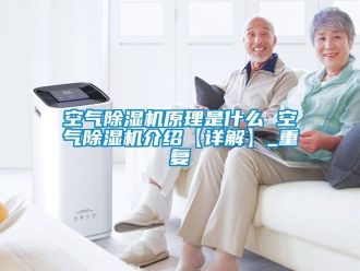行业资讯空气除湿机原理是什么 空气除湿机介绍【详解】_重复