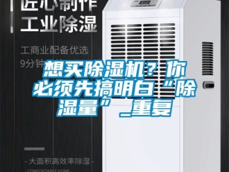 行业资讯想买除湿机？你必须先搞明白“除湿量”_重复