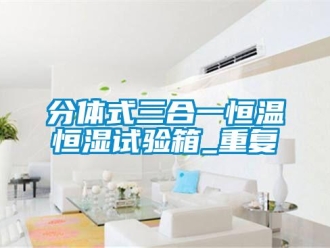知识百科分体式三合一恒温恒湿试验箱_重复