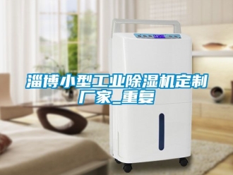 企业动态淄博小型工业除湿机定制厂家_重复