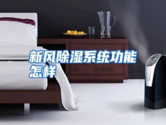 行业资讯新风除湿系统功能怎样