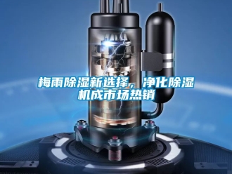 行业资讯梅雨除湿新选择，净化除湿机成市场热销
