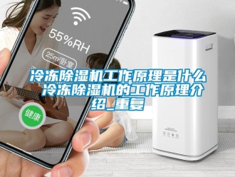 行业资讯冷冻除湿机工作原理是什么 冷冻除湿机的工作原理介绍_重复
