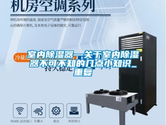 行业资讯室内除湿器—关于室内除湿器不可不知的几点小知识_重复