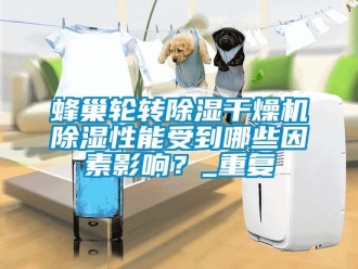 行业资讯蜂巢轮转除湿干燥机除湿性能受到哪些因素影响？_重复
