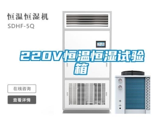 常见问题220V恒温恒湿试验箱
