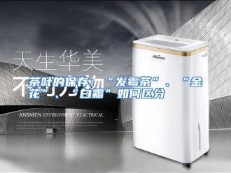 常见问题茶叶的保存：“发霉茶”、“金花”、“白霜”如何区分
