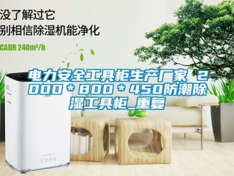 企业动态电力安全工具柜生产厂家 2000＊800＊450防潮除湿工具柜_重复
