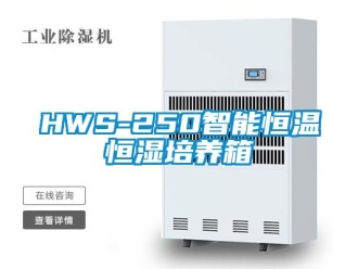 常见问题HWS-250智能恒温恒湿培养箱